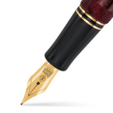 Conway Stewart Churchill Burgundy Blush · Fountain Pen